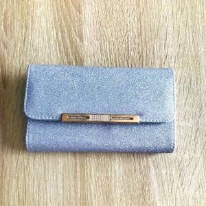 Fancy Glittery Silver With Gold Accents Clutch